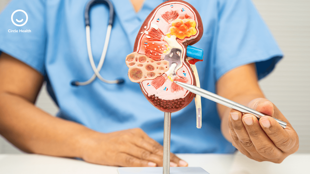 Chronic Care Management (CCM): Codes, Workflows & Outcomes