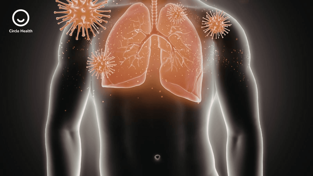 Improving 30-Day Transitions of Care: Workflows and Outcomes